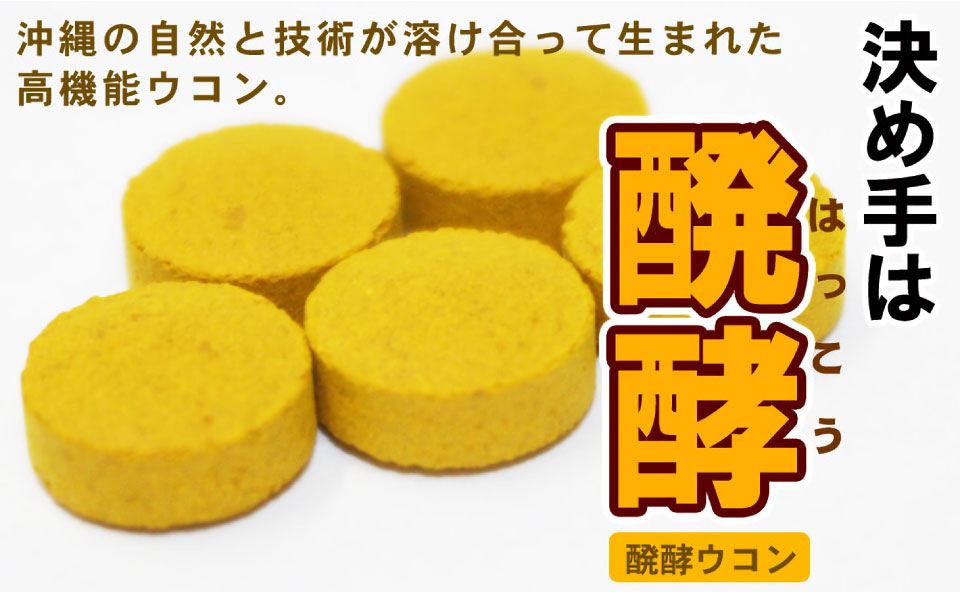 醗酵ウコン粒(小粒)600粒